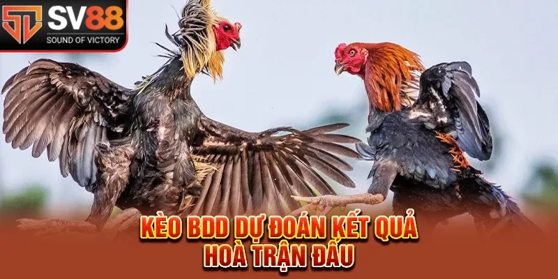 Kèo BDD dự đoán kết quả giải chiến kê hòa trận 