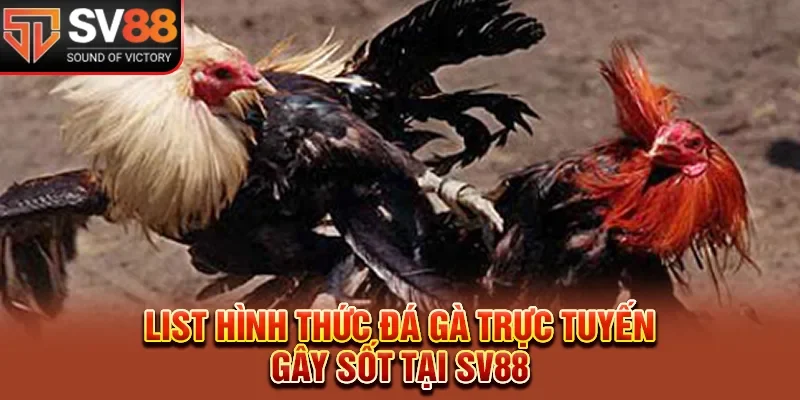 List hình thức đá gà trực tuyến gây sốt tại SV88