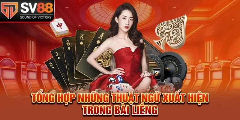 Tổng hợp những thuật ngữ xuất hiện trong bài liêng 